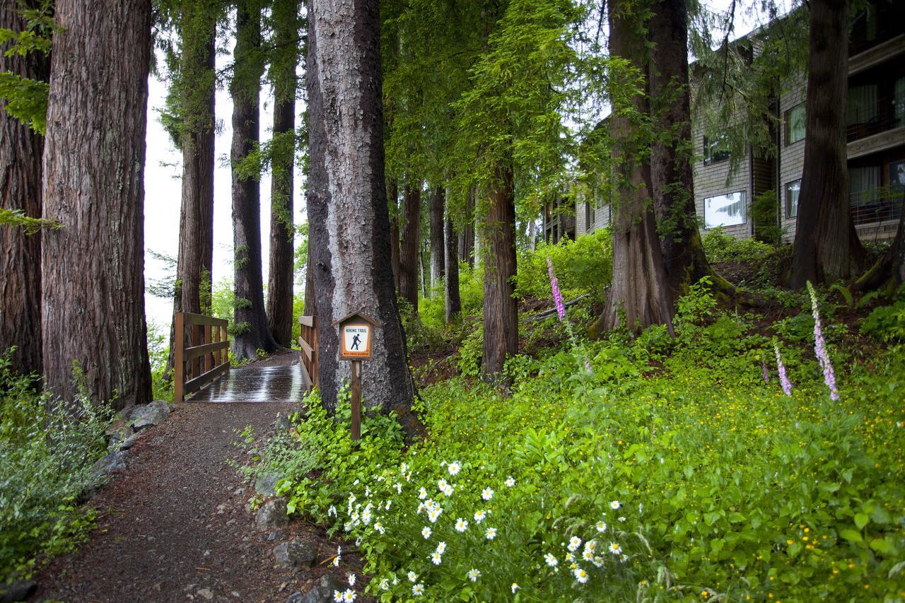 Lake Quinault Lodge Exterior foto